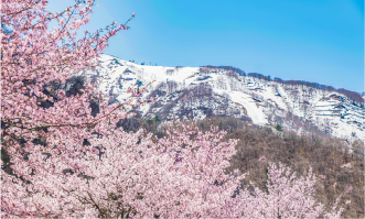 spring ski resort